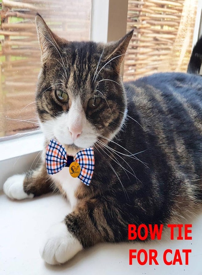 سايج سكوير ربطة عنق مربعة بطبعة قطط وهريرات: إكسسوار أنيق ومتين لعشاق القطط - مثالية للمناسبات الرسمية، والاستخدام اليومي، والصور التذكارية، ودعائم الحيوانات الأليفة، والحفلات، ربطة عنق أنيقة مطبوعة - Image 2